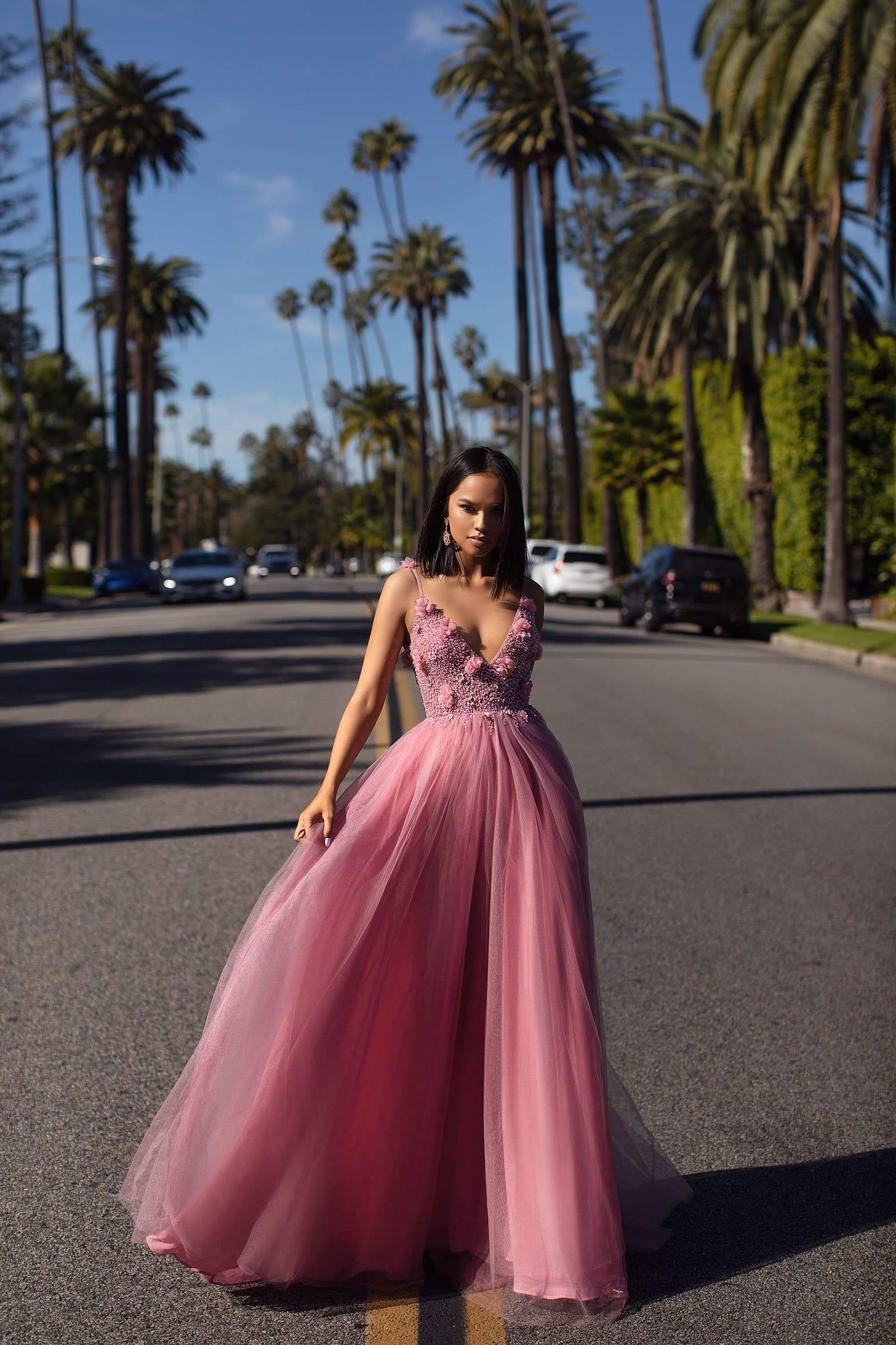 A☀N Jalicia Dusty Pink Beaded Tulle ...